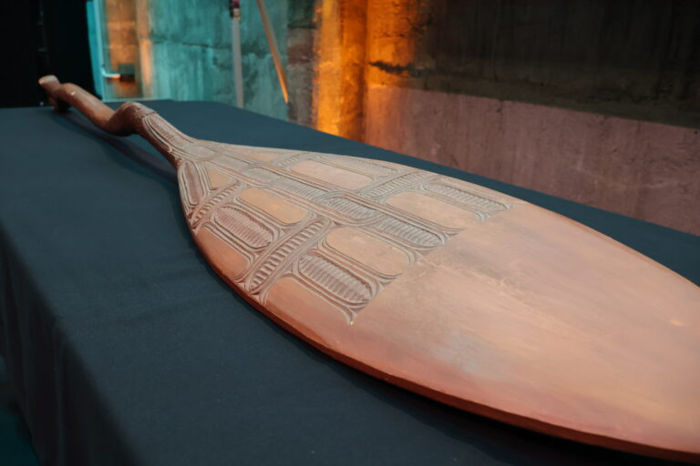 Te Hoe Wairua: navigating the way forward together