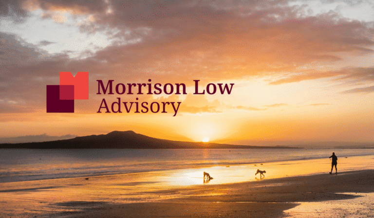 Morrison Low Advisory signs on as Taituarā supporting partner 