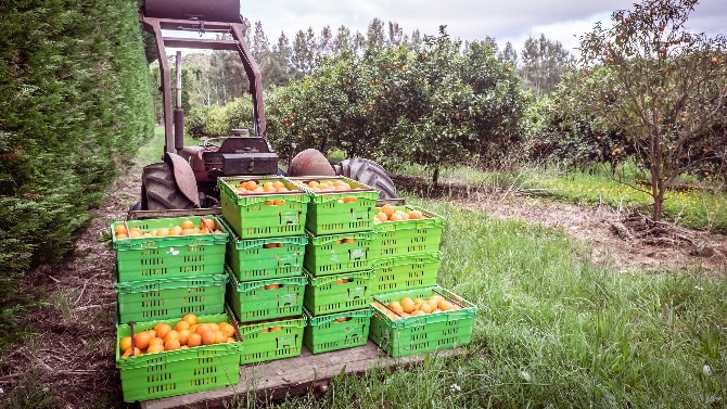 Protecting our most fertile agricultural land