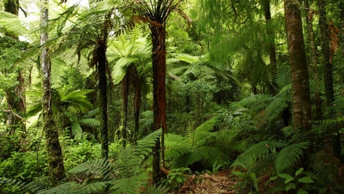 Updating protections for indigenous biodiversity